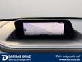 Mazda CX-30 CX-30 2,0 2WD Automatik Selection Navi HuD LED - thumbnail 15