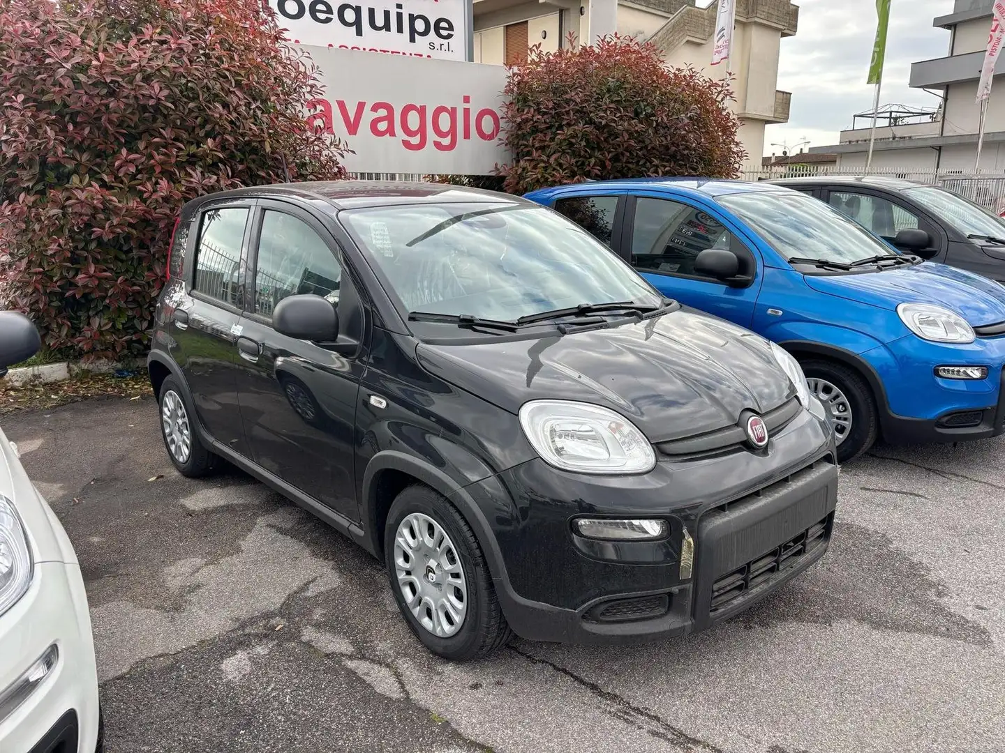 Fiat Panda 1.0 firefly hybrid *PROMO* Nero - 1
