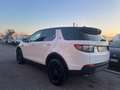 Land Rover Discovery Sport Discovery Sport 2.0 td4 HSE Luxury awd 180cv auto Blanc - thumbnail 4