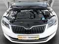 Skoda Superb 1,5 TSI ACT Style*NAVI*XENON*PDC*PANORAMA*TEMPO Weiß - thumbnail 27