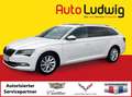 Skoda Superb 1,5 TSI ACT Style*NAVI*XENON*PDC*PANORAMA*TEMPO Weiß - thumbnail 1