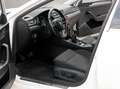 Skoda Superb 1,5 TSI ACT Style*NAVI*XENON*PDC*PANORAMA*TEMPO Weiß - thumbnail 20