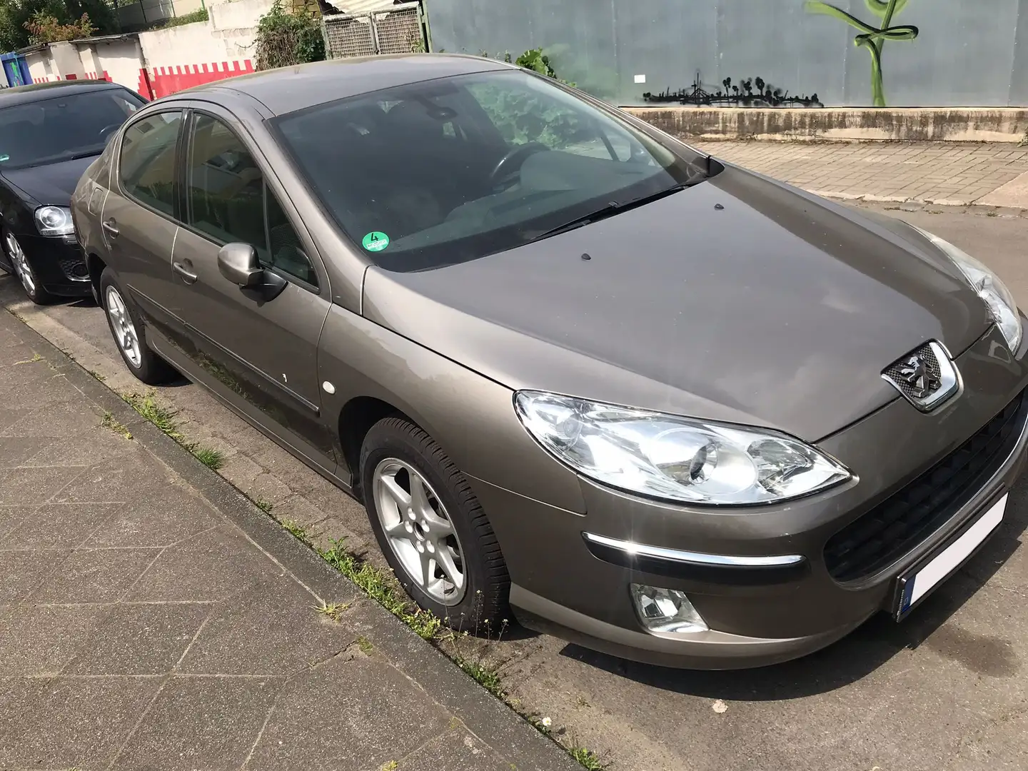 Peugeot 407 Gris - 2