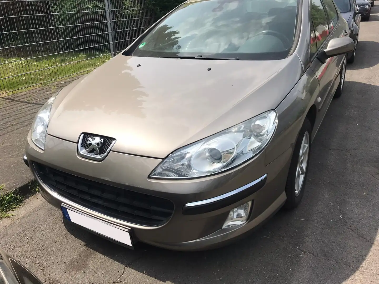 Peugeot 407 Gris - 1