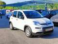Fiat Panda 1.0 Hybrid FireFly S&S White - thumbnail 3
