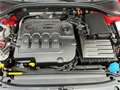 Skoda Octavia Elegance TDI Rot - thumbnail 16