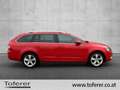 Skoda Octavia Elegance TDI Rot - thumbnail 4