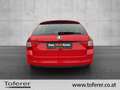 Skoda Octavia Elegance TDI Rot - thumbnail 6