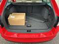 Skoda Octavia Elegance TDI Rot - thumbnail 10