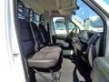 Citroen Jumper 160cv CASSONE Blanc - thumbnail 13