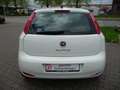 Fiat Punto Fiat Punto 1.2; 1.Hd. Klima, Tempo, PDC Blanco - thumbnail 5