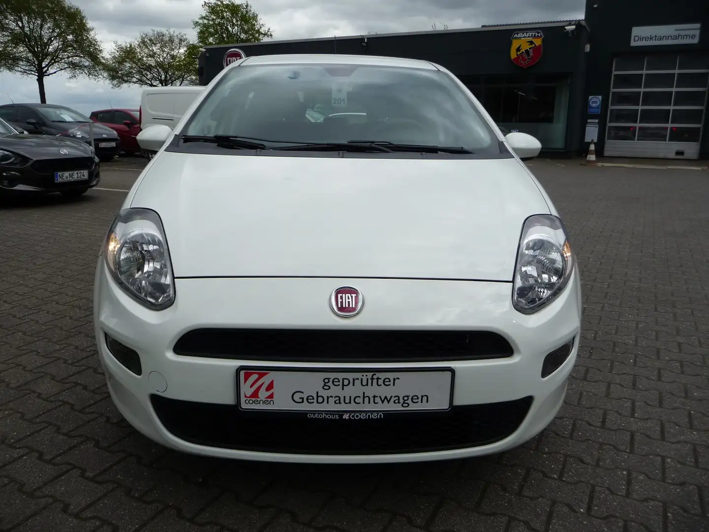 Fiat Punto Fiat Punto 1.2; 1.Hd. Klima, Tempo, PDC White - 2