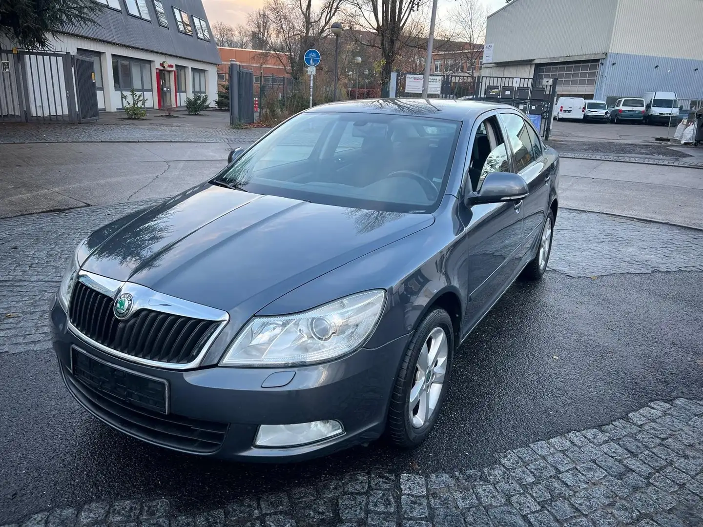 Skoda Octavia Family Grau - 2