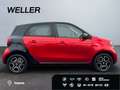 smart forFour twinamic prime *Pano*Bluetooth*SHZ*Tempo* Rouge - thumbnail 10