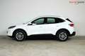 Ford Kuga Titanium *WINTER-PAKET*FRONTS.HZ*LED*KEYLESS-FREE* Weiß - thumbnail 8