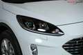 Ford Kuga Titanium *WINTER-PAKET*FRONTS.HZ*LED*KEYLESS-FREE* Weiß - thumbnail 12