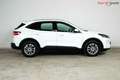 Ford Kuga Titanium *WINTER-PAKET*FRONTS.HZ*LED*KEYLESS-FREE* Weiß - thumbnail 4