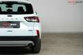 Ford Kuga Titanium *WINTER-PAKET*FRONTS.HZ*LED*KEYLESS-FREE* Weiß - thumbnail 14