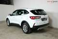 Ford Kuga Titanium *WINTER-PAKET*FRONTS.HZ*LED*KEYLESS-FREE* Weiß - thumbnail 5