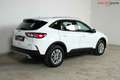 Ford Kuga Titanium *WINTER-PAKET*FRONTS.HZ*LED*KEYLESS-FREE* Weiß - thumbnail 7