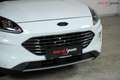 Ford Kuga Titanium *WINTER-PAKET*FRONTS.HZ*LED*KEYLESS-FREE* Weiß - thumbnail 11