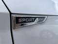 Skoda Octavia Combi iV 1.4 TSI DSG Sportline LED+HEAD- Weiß - thumbnail 14