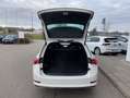 Skoda Octavia Combi iV 1.4 TSI DSG Sportline LED+HEAD- Weiß - thumbnail 12