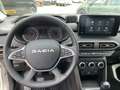 Dacia Sandero Stepway Extreme+ TCe 100 ECO-G Grau - thumbnail 15