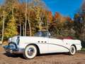 Buick Roadmaster Special Deluxe Convertible im 1A Sammlerzustand Bianco - thumbnail 4
