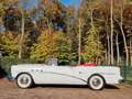 Buick Roadmaster Special Deluxe Convertible im 1A Sammlerzustand Bianco - thumbnail 9