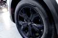Dacia Sandero Stepway 1.0 TCe ECO-G Extreme Full Optional Blanc - thumbnail 5