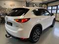 Mazda CX-5 Sports-Line AWD 2.2 SPORTSITZE HEAD UP AHK Blanc - thumbnail 5
