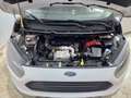 Ford Tourneo Courier 1.5TDCi Trend 75 Blanco - thumbnail 15