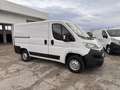 Fiat Ducato Fiat ducato L1H1 DUCATO 30 CH1 2.0 Multijet 16V 11 Blanc - thumbnail 1