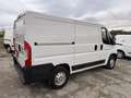 Fiat Ducato Fiat ducato L1H1 DUCATO 30 CH1 2.0 Multijet 16V 11 Blanc - thumbnail 4