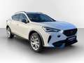 CUPRA Formentor 1.5 TSI VIRTUAL*LED*ACC*PDC*NEBEL*DAB*18" Weiß - thumbnail 3