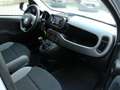 Fiat Panda HYBRID 1.0 GSE E6D TECH RADIO 5-SITZER Gris - thumbnail 15