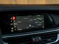 Alfa Romeo Stelvio 2.9 V6 AWD Quadrifoglio | Pano-dak | 21 inch | Har Noir - thumbnail 35