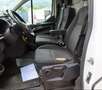 Ford Transit Custom Transit Custom Kasten 2,0 L2H1 320 Trend Trend Weiß - thumbnail 17