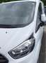 Ford Transit Custom Transit Custom Kasten 2,0 L2H1 320 Trend Trend Weiß - thumbnail 14