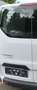 Ford Transit Custom Transit Custom Kasten 2,0 L2H1 320 Trend Trend Weiß - thumbnail 13