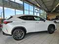 Lexus NX 450h+ Executive Line Pano, LED, elektr. Heck. Blanc - thumbnail 11