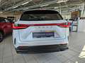 Lexus NX 450h+ Executive Line Pano, LED, elektr. Heck. Alb - thumbnail 7