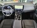 Lexus NX 450h+ Executive Line Pano, LED, elektr. Heck. Blanc - thumbnail 16