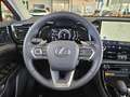 Lexus NX 450h+ Executive Line Pano, LED, elektr. Heck. Blanc - thumbnail 19