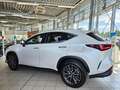 Lexus NX 450h+ Executive Line Pano, LED, elektr. Heck. Alb - thumbnail 5
