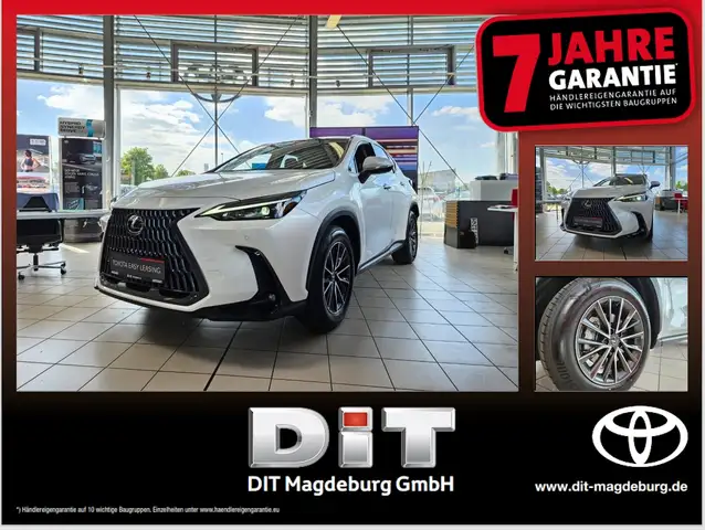 Lexus NX 450h+ Executive Line Pano, LED, elektr. Heck.