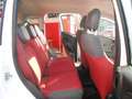 Fiat Panda Panda 0.9 t.air t. natural power Easy 80cv Bianco - thumbnail 13
