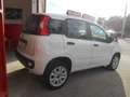 Fiat Panda Panda 0.9 t.air t. natural power Easy 80cv Bianco - thumbnail 3