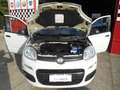 Fiat Panda Panda 0.9 t.air t. natural power Easy 80cv Bianco - thumbnail 5